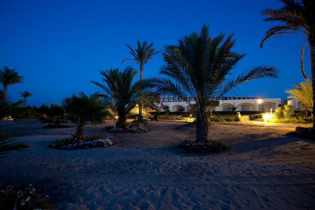 Royal Brayka Beach Resort Abu Dabab Exteriör bild